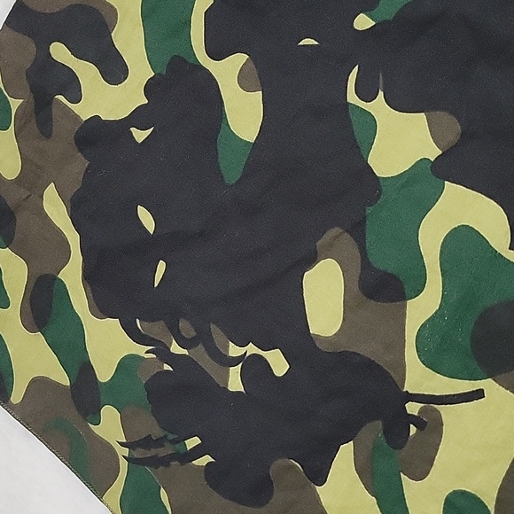 Predator and Alien - Picture 9 of 12